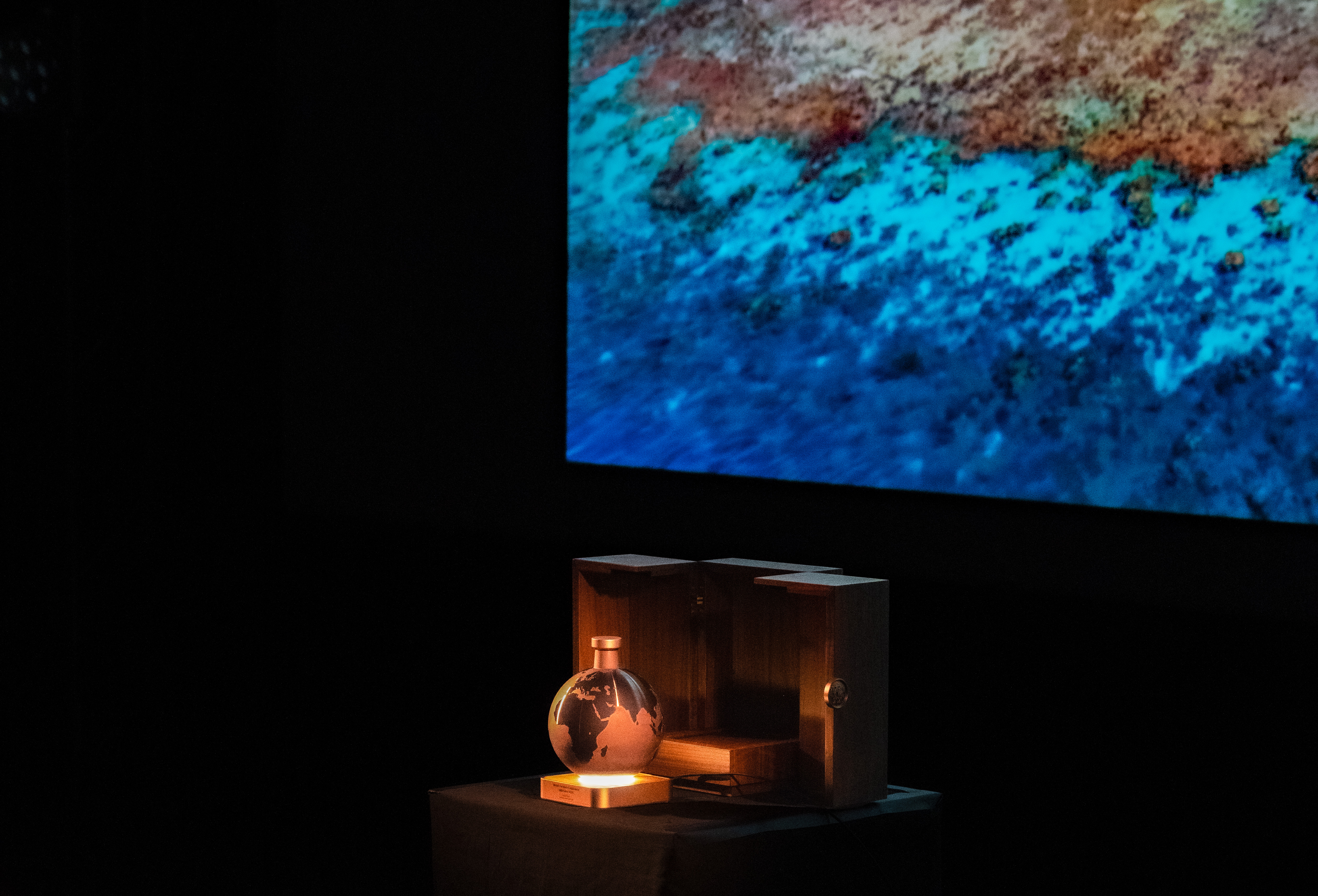 Millésime 2020 is a project fusing artistic and technological excellence with philanthropic commitment.