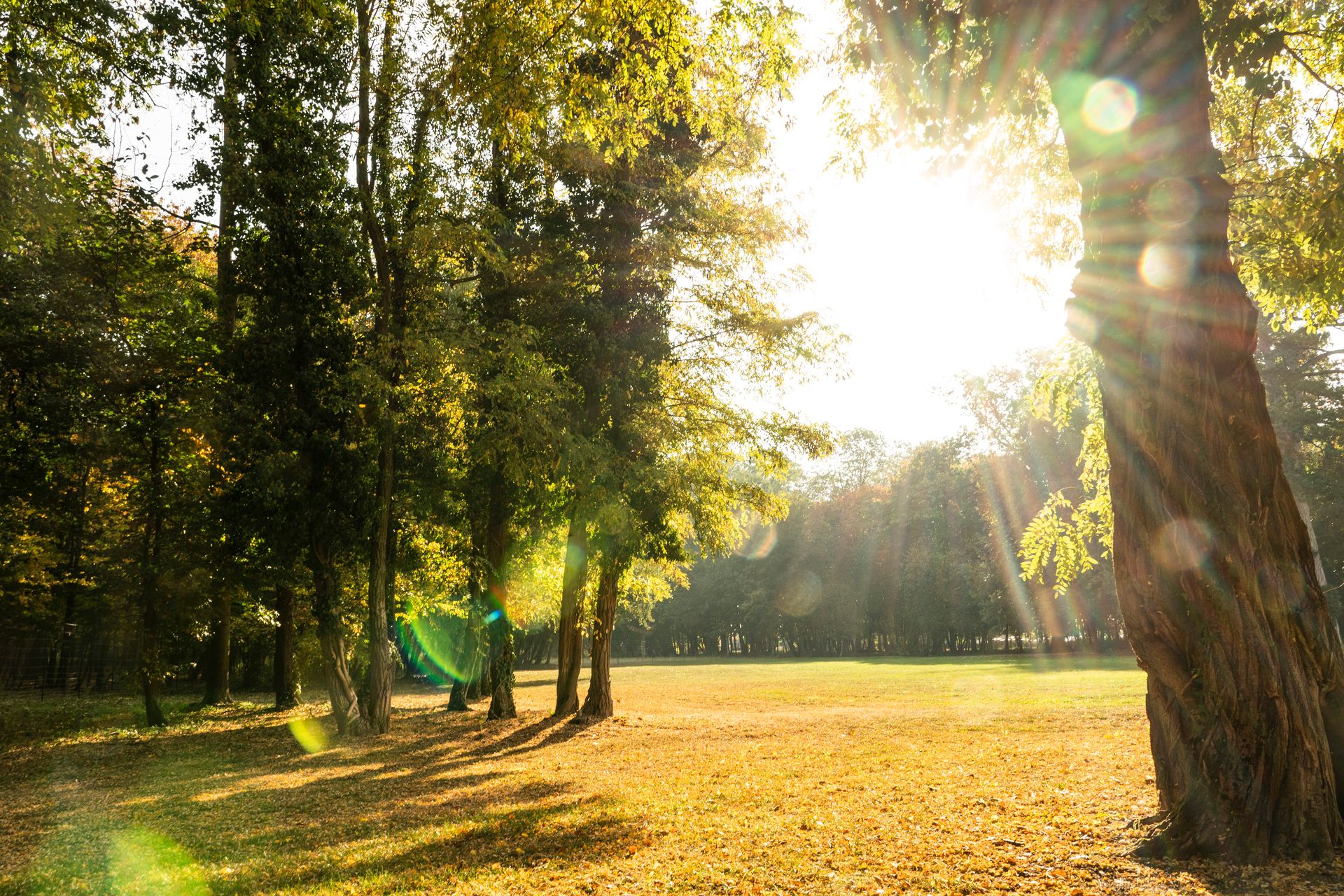 L’Alsace – Patrie de Bugatti depuis 110 ans